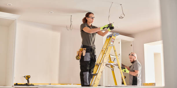 Best Electrical Troubleshooting Services  in Rolling Meadows, IL